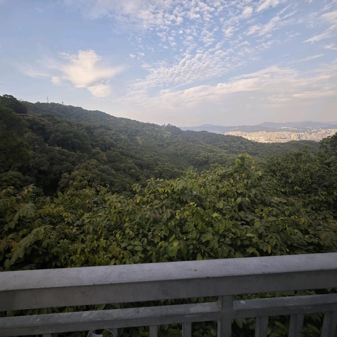 神威难藏雷，害怕达雷头像