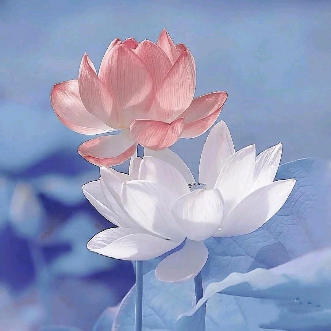 简简单单～