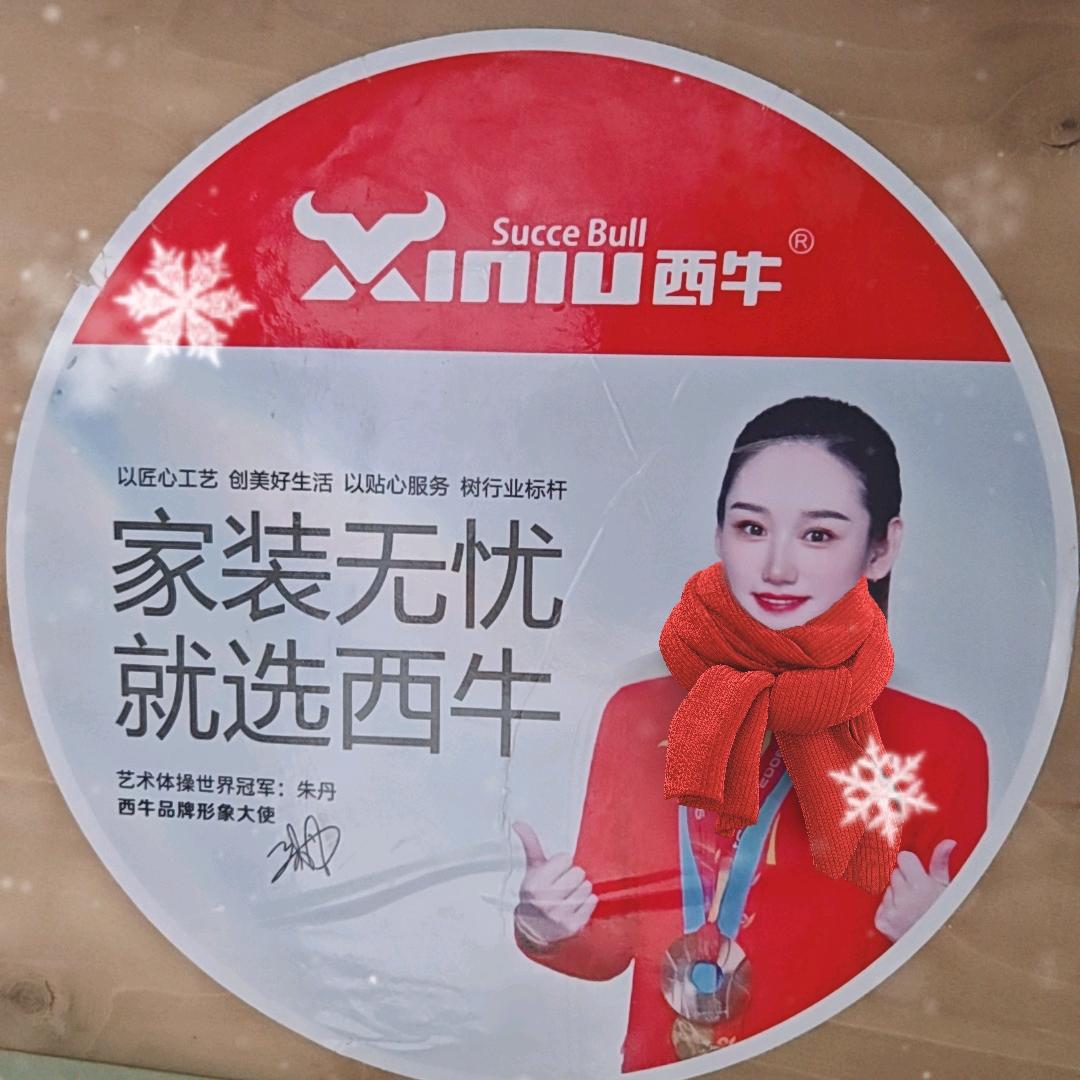西牛防水（眉山乐山施工团队）