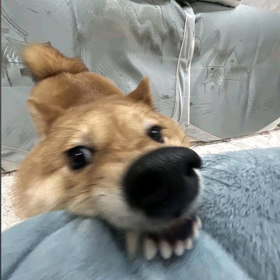 第三个深秋