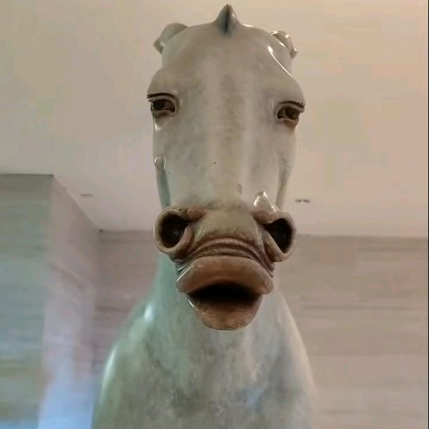 ∽