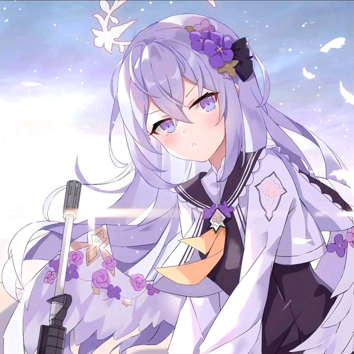 Blue Archiv  蔚蓝档案白梓洲