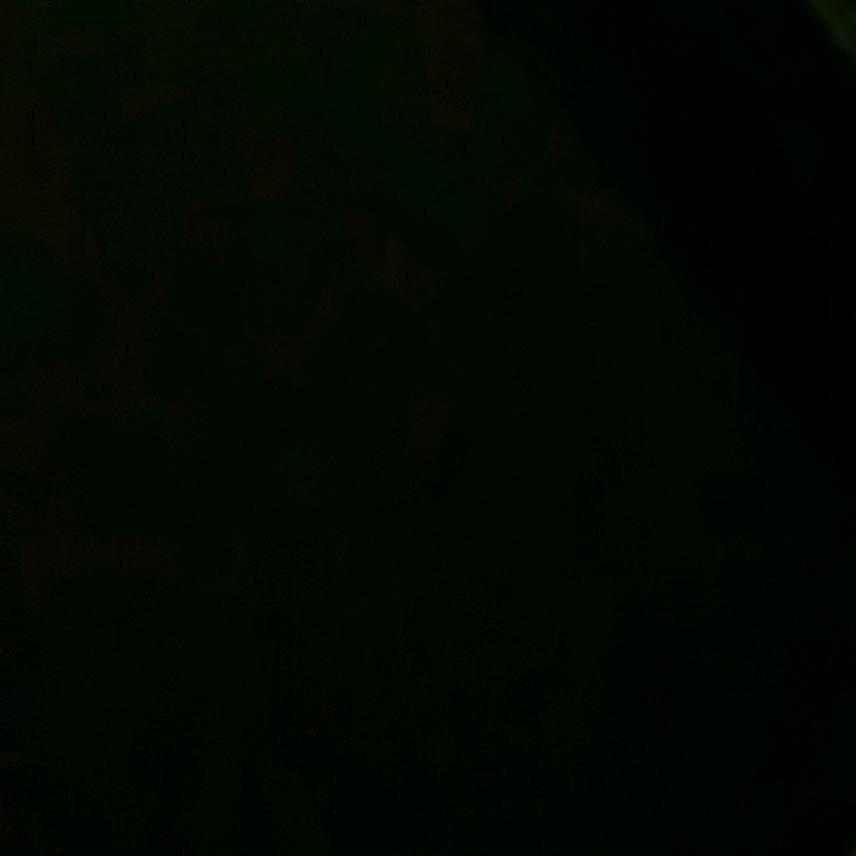 自律