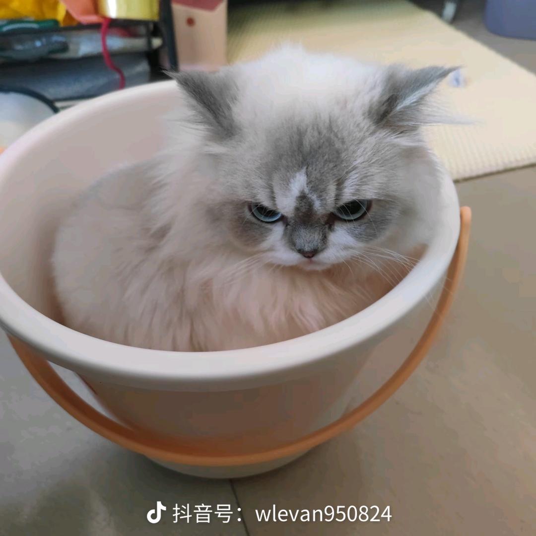 吃兔讲故事