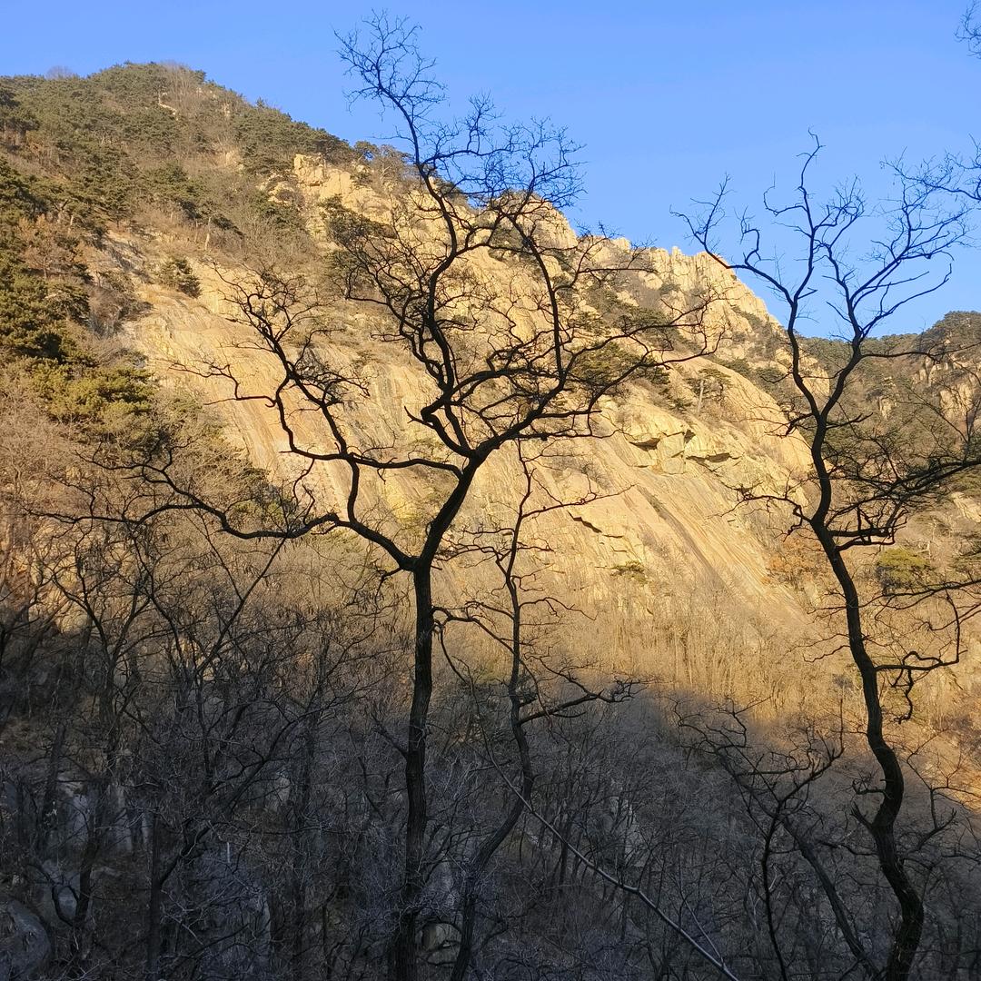 南京睦秀赐