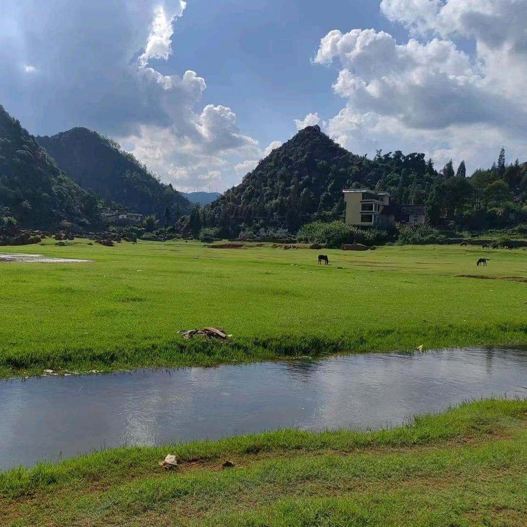 ༄ᐝ海阔天空໊ഒᩚ࿐