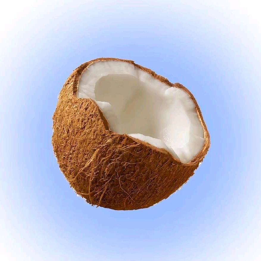 ^椰子🥥