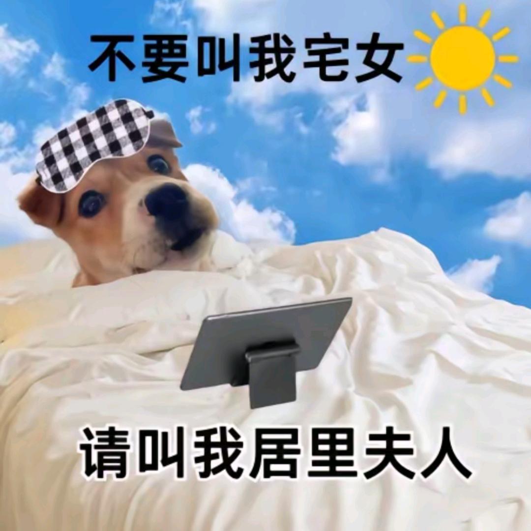 该睡觉了