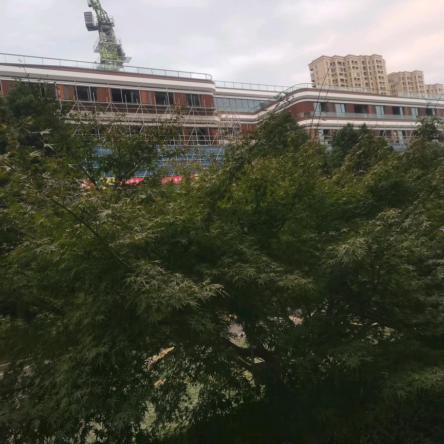 单身超亿四哥  （ 等待有缘人）