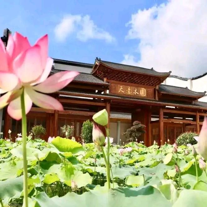 宇艺木国—讲解员刘想飞