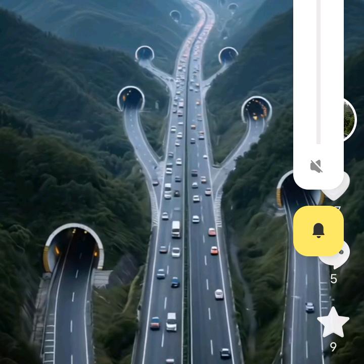单身云华