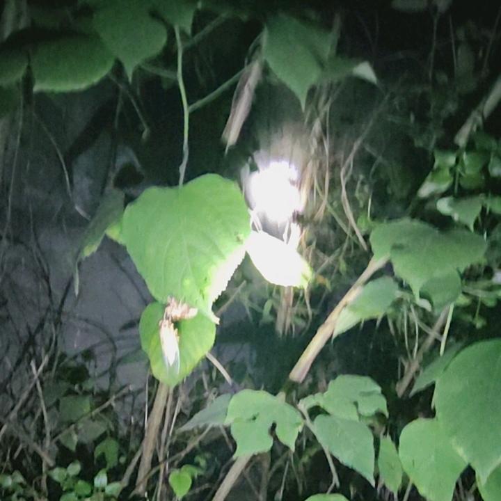 奋斗