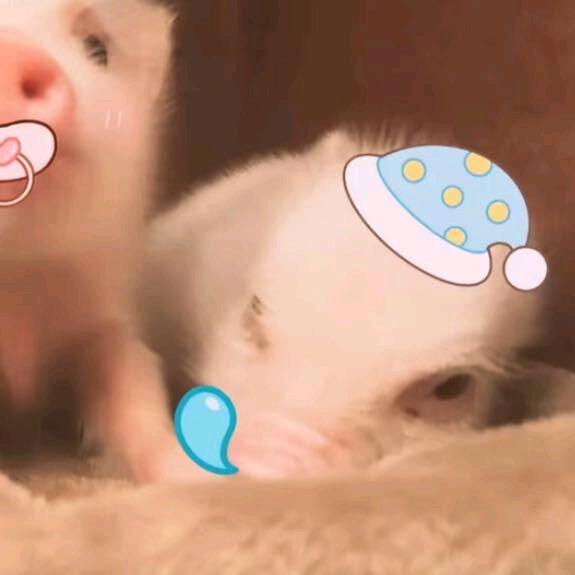 航天king（三角洲行动）