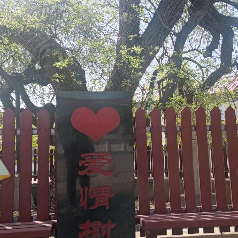 永久的爱