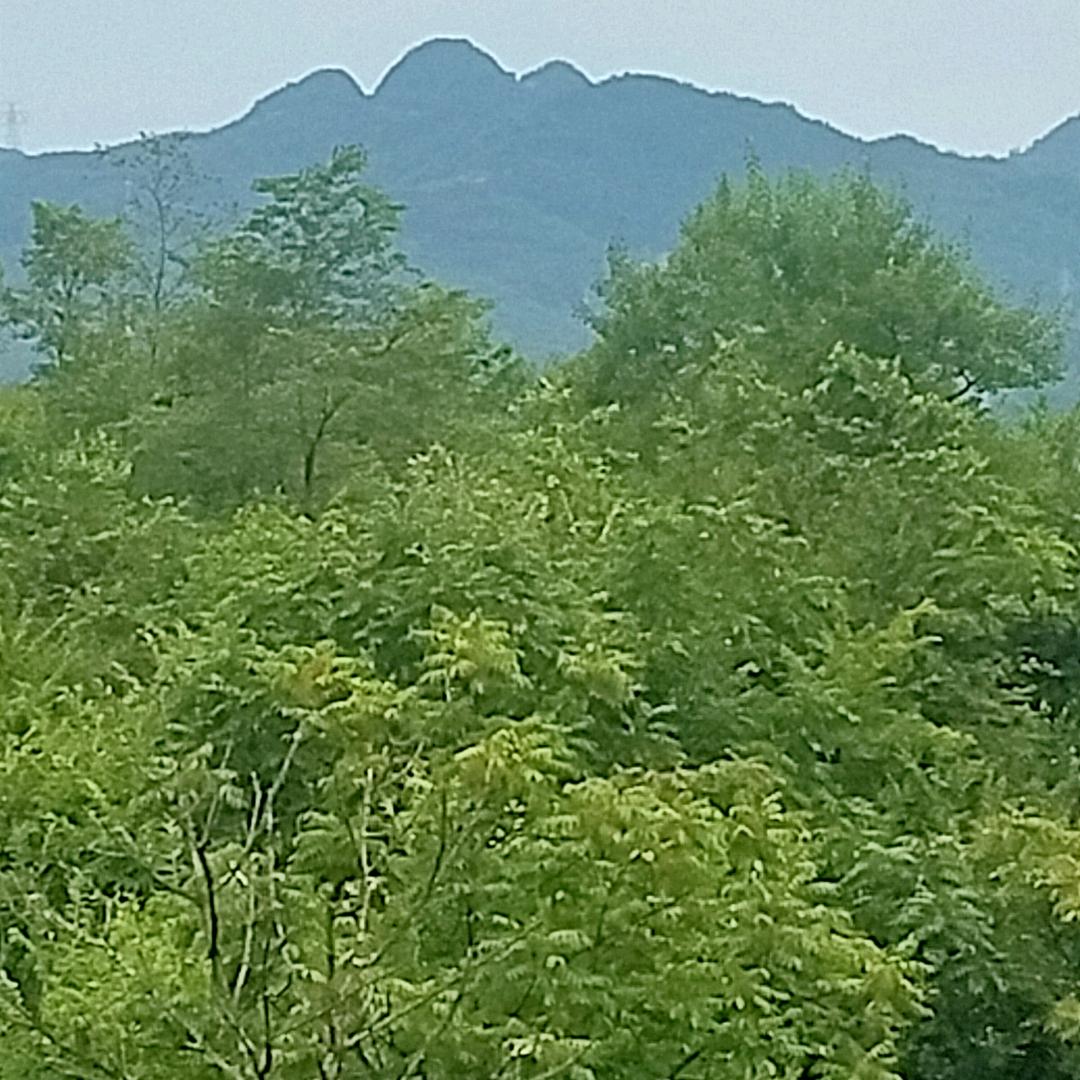 走出雪山，阳光照耀