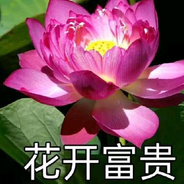 似水流年