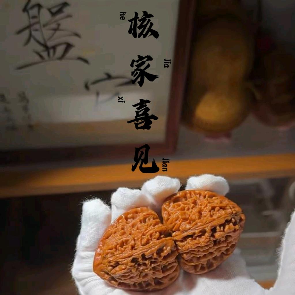 A核家-喜见