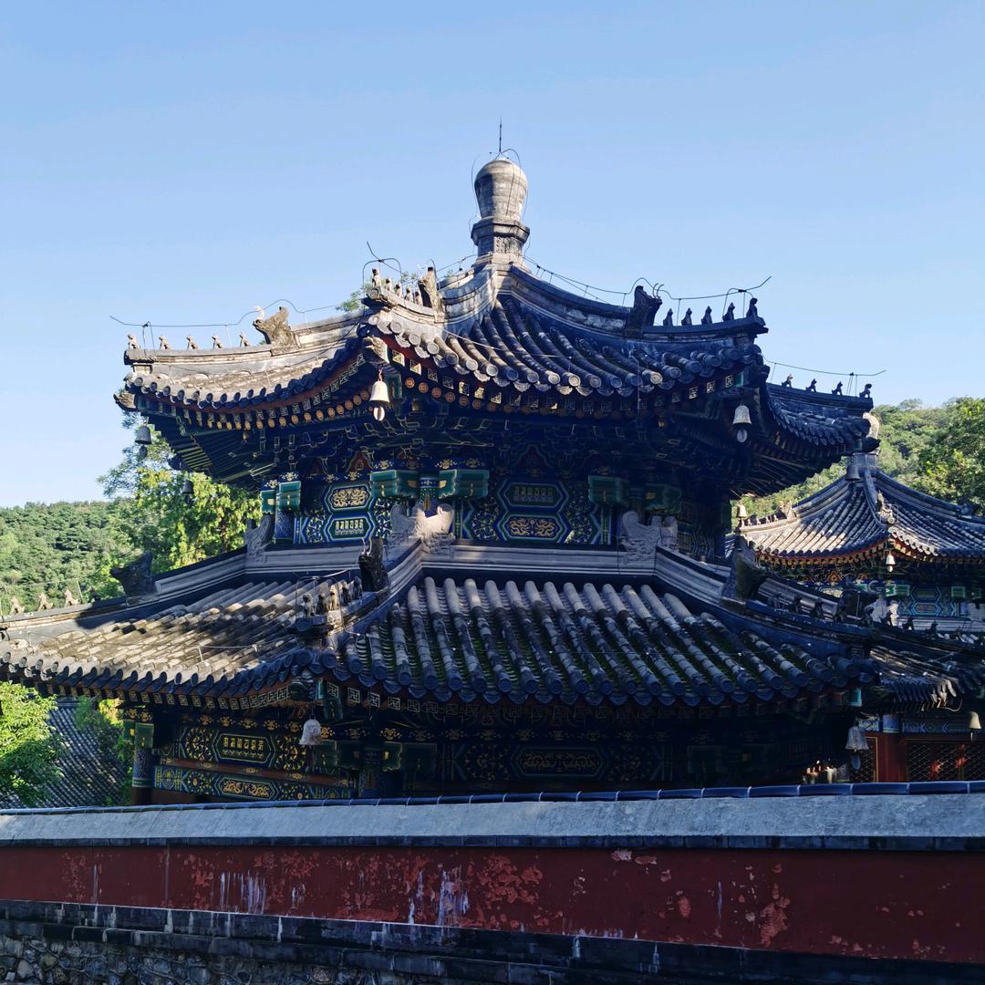 @ZHANG SJ