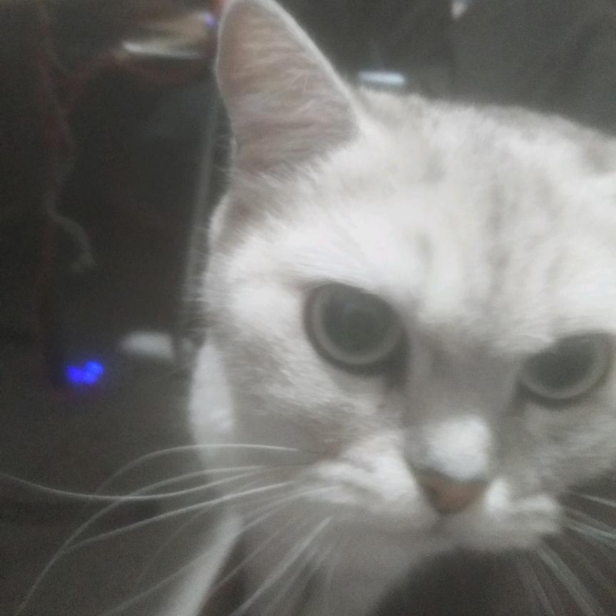 环昌五金电器环昌五金哦哦直播号