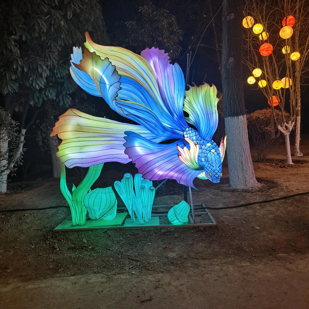 淼淼陌陌