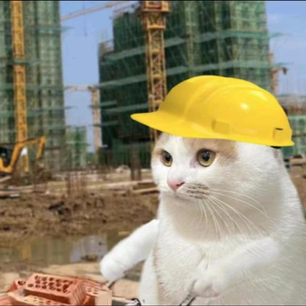 老品种游戏爱好者