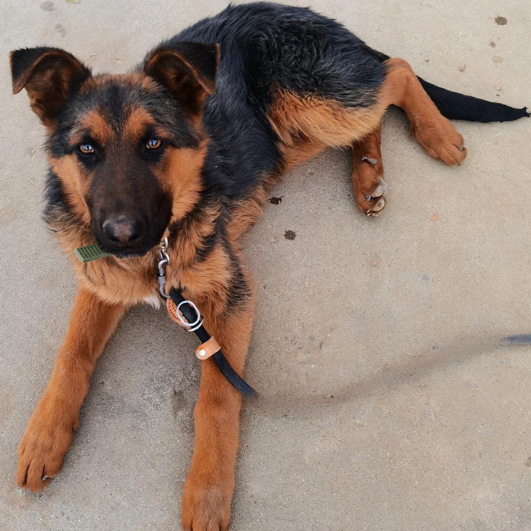 农夫山泉德城区经销商