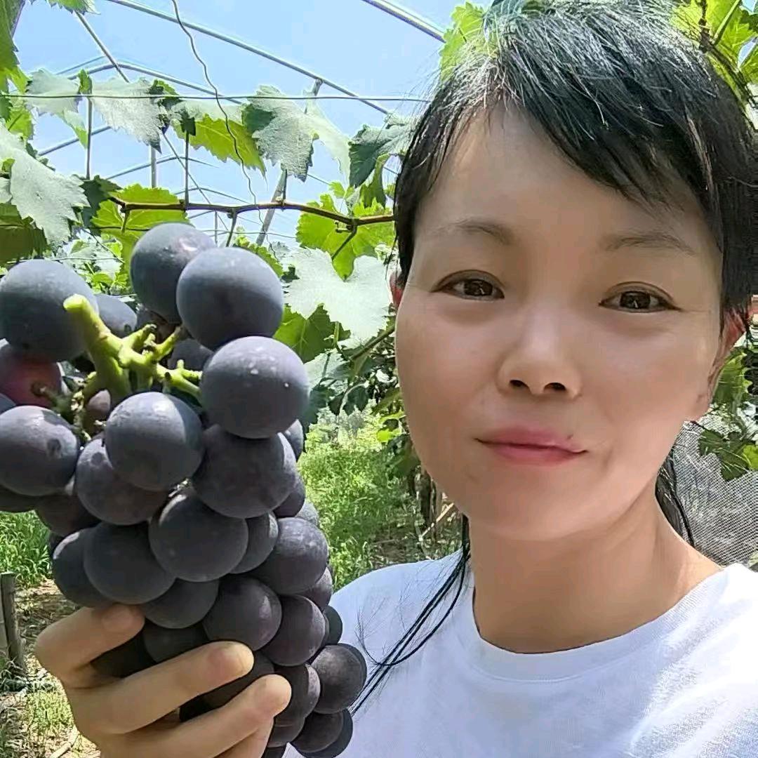 冯珍～玉米小摊水果店