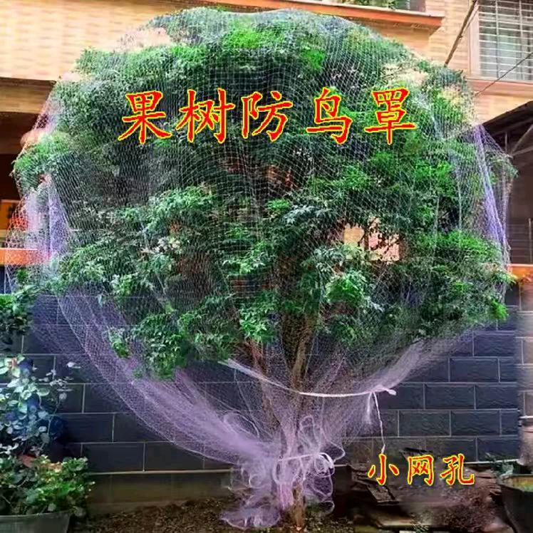 滨棣网业有限公司