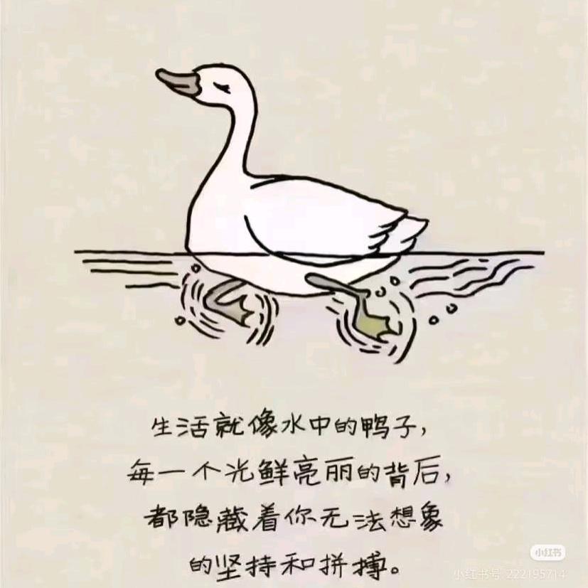 南 北.
