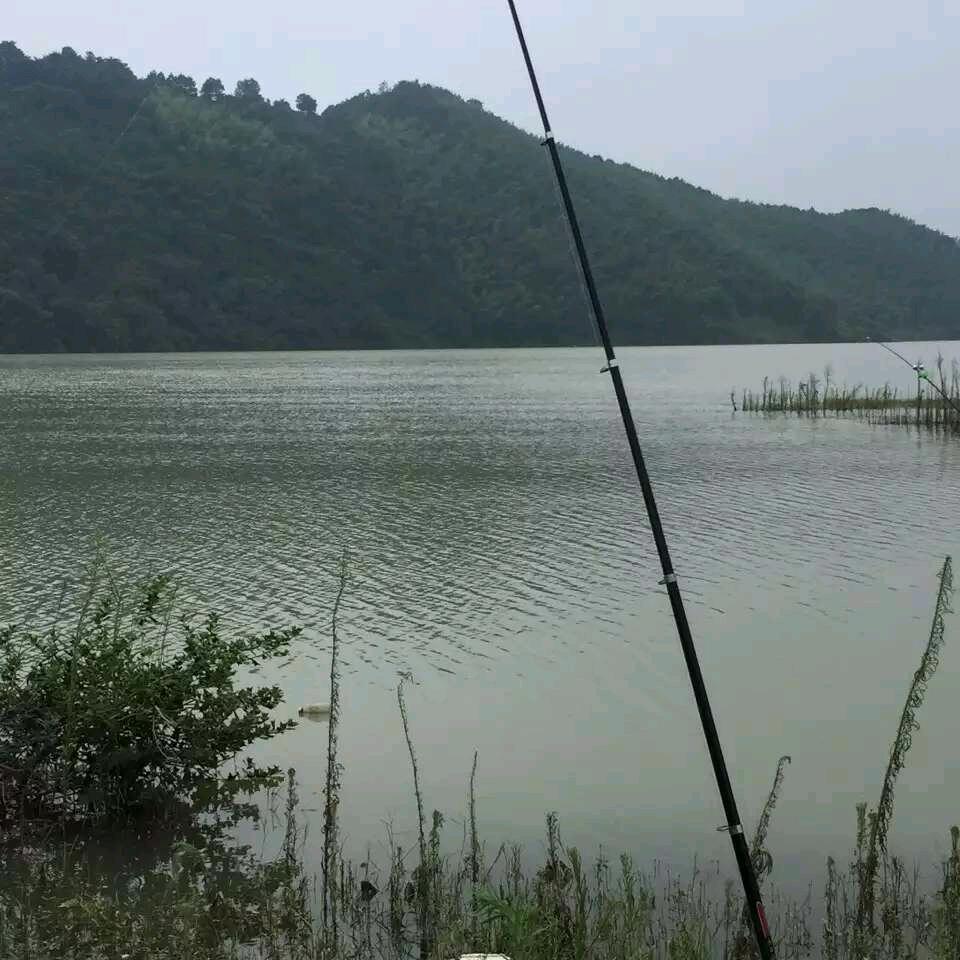 黄粱一梦
