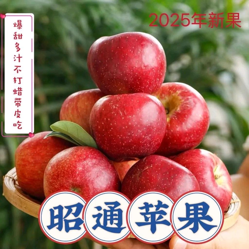 昭通缤果鲜果园