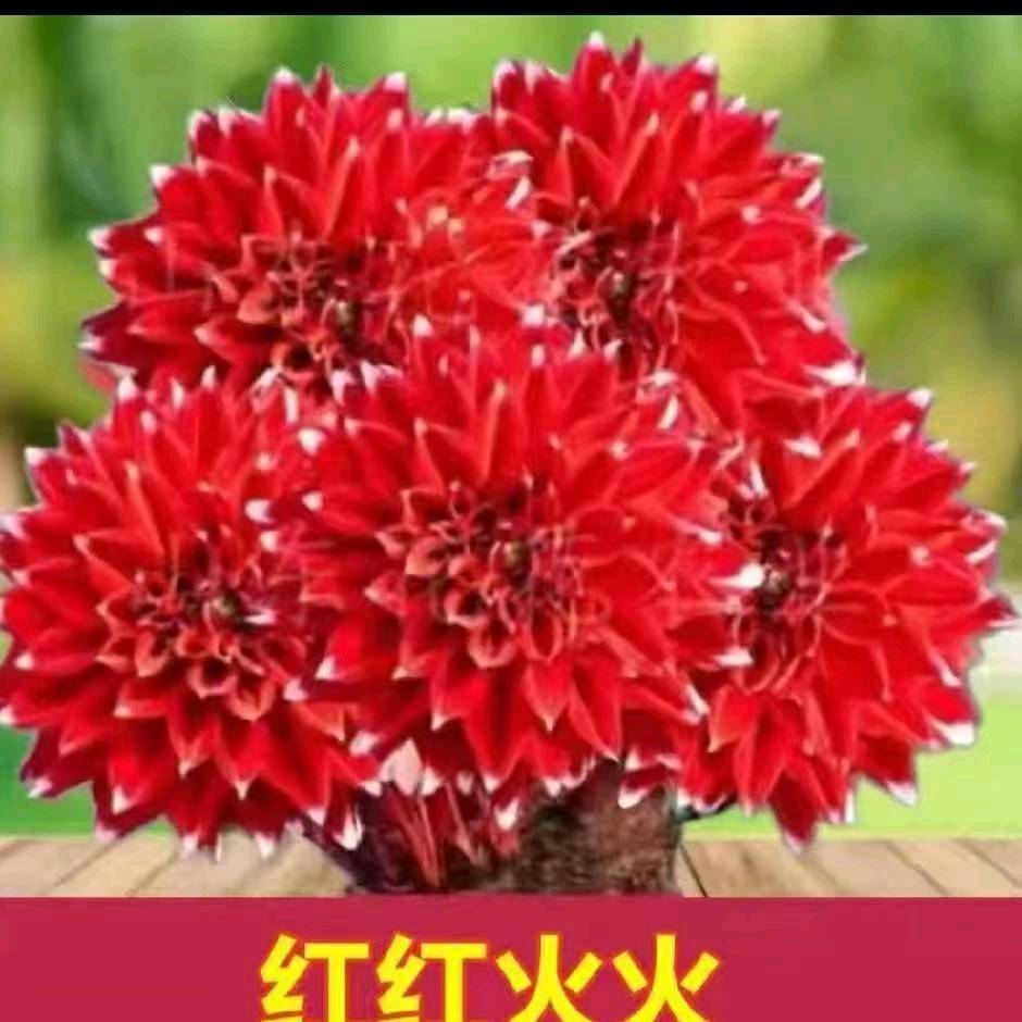 用户6792511601327