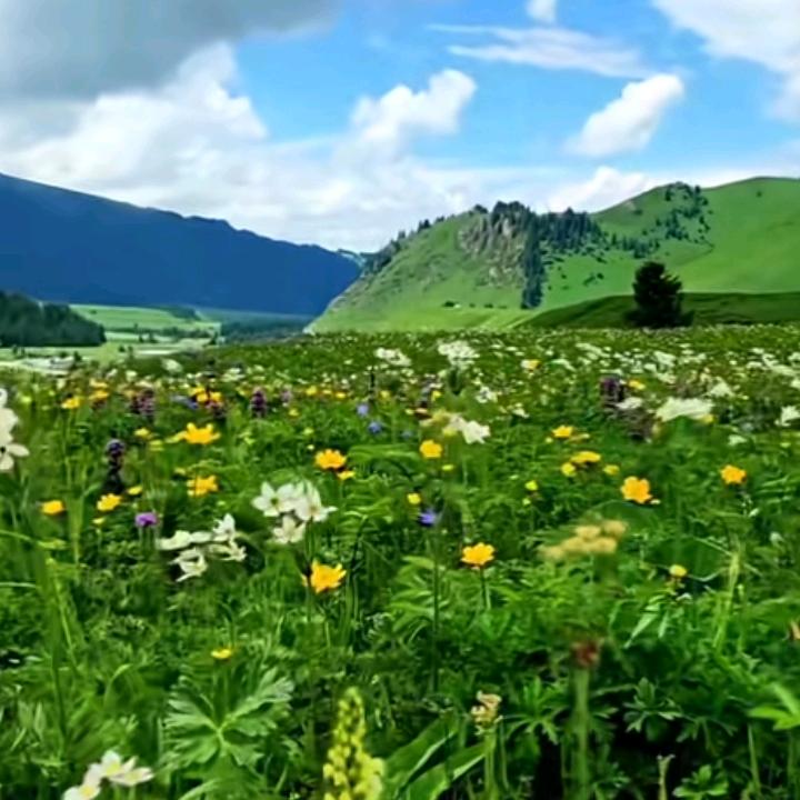 凌明