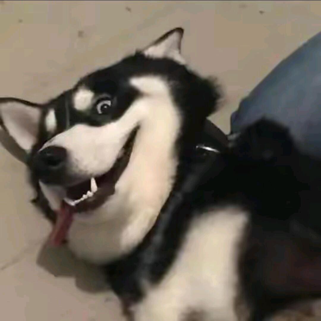庆