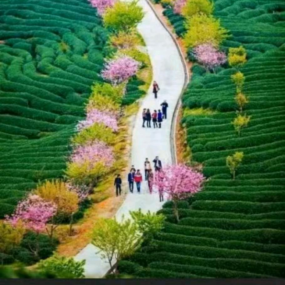 阳光