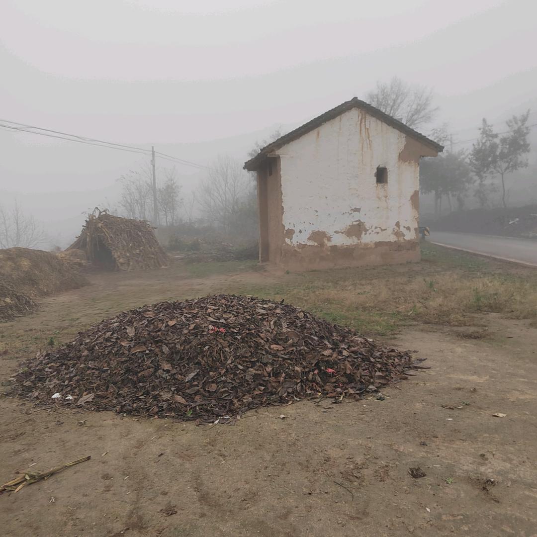 穿着布鞋过黄河