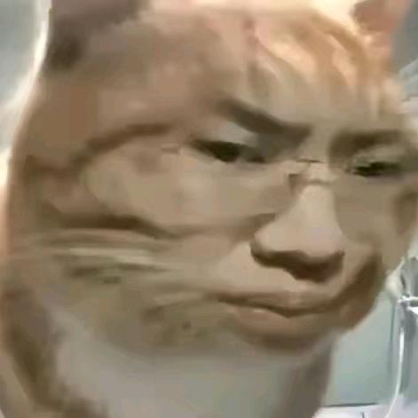 布鲁bill