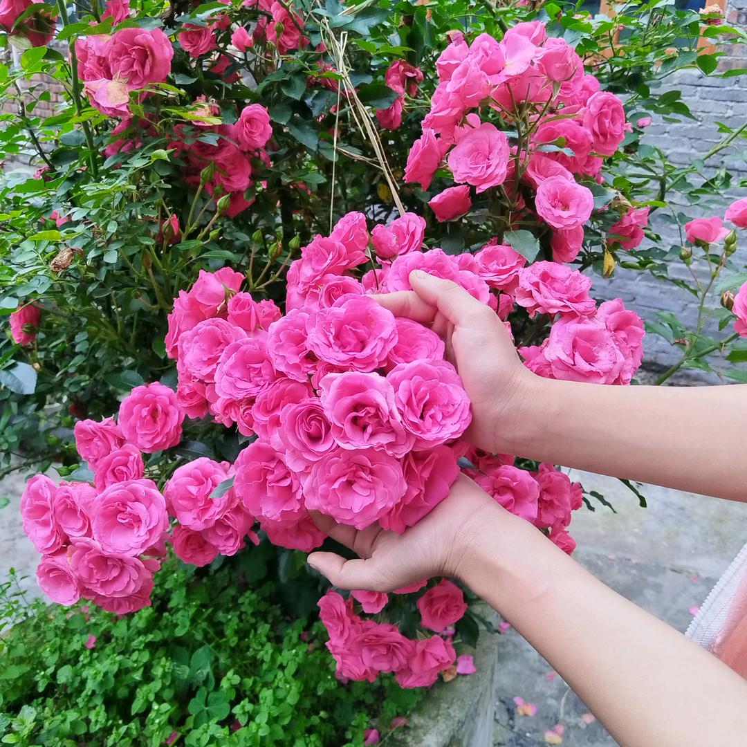 ♥太阳当空赵♡♥