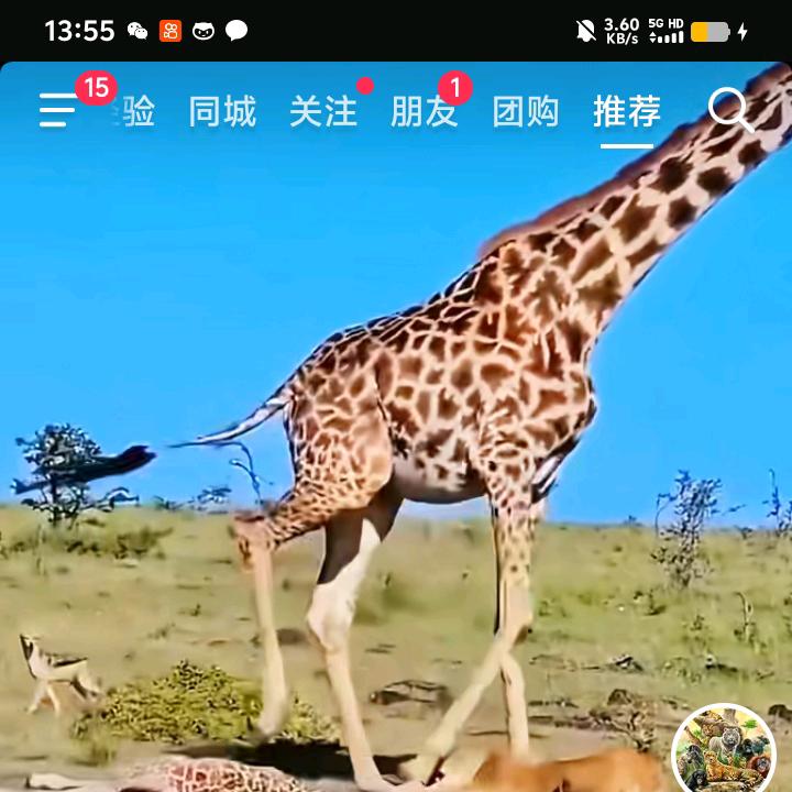 人生苦