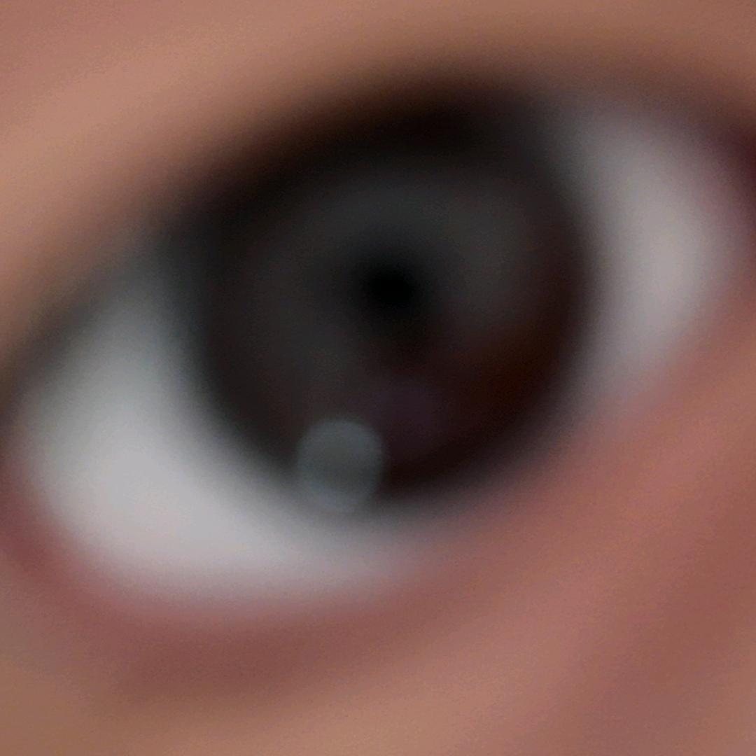 蝉逐空