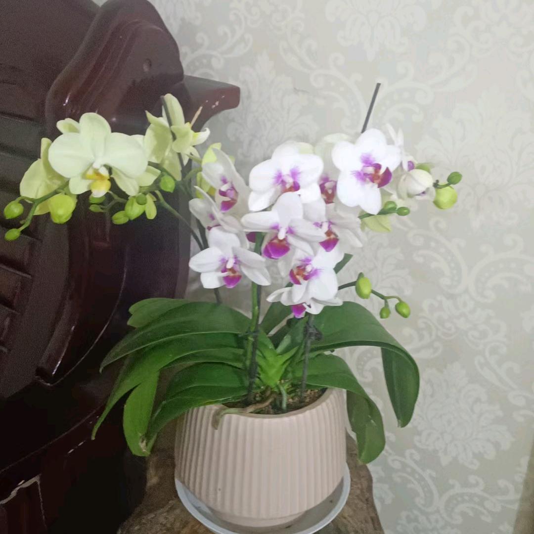 丽洁家政上门烧饭服务