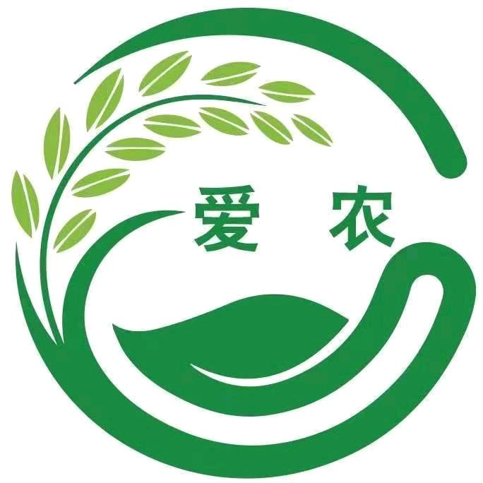 白姐严选