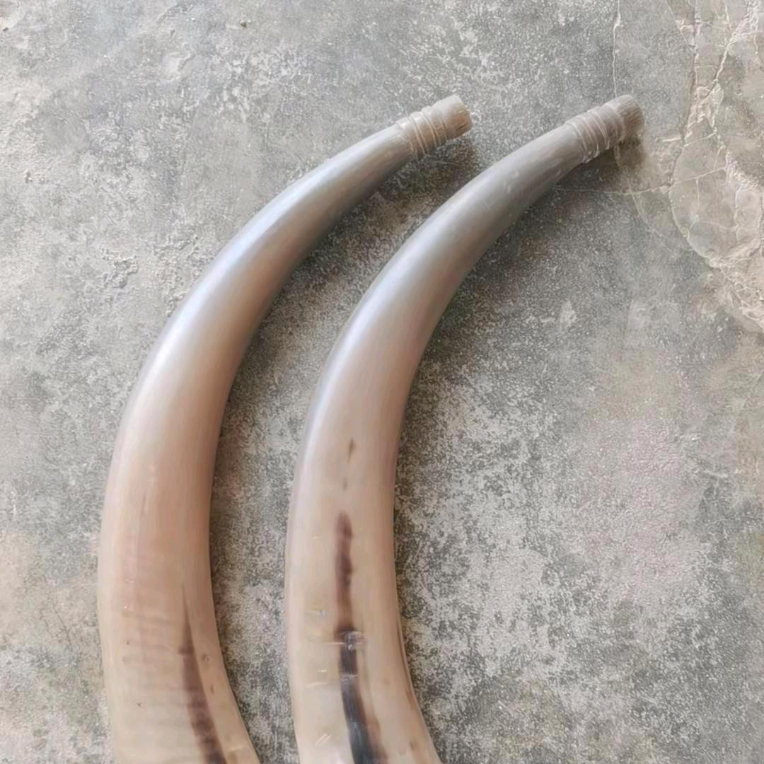 专注纯手工闾山法角号角