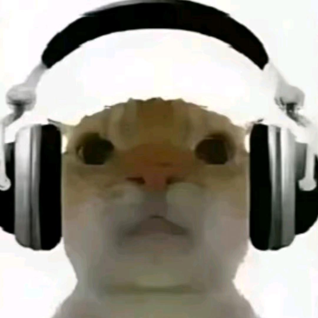 已微醺