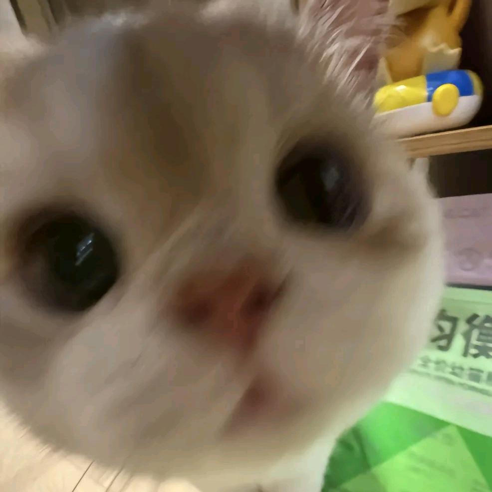 lumos头像