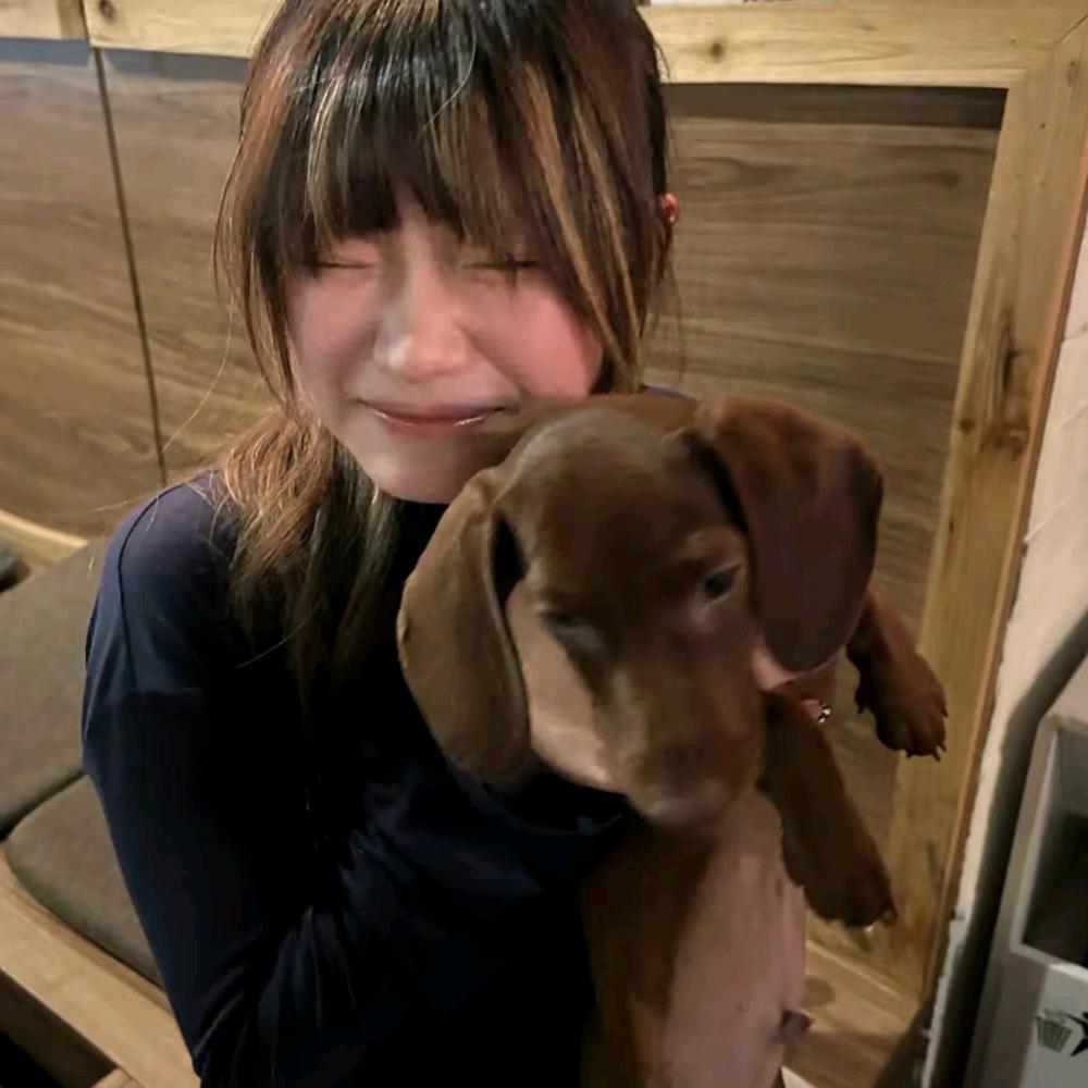 春不许、
