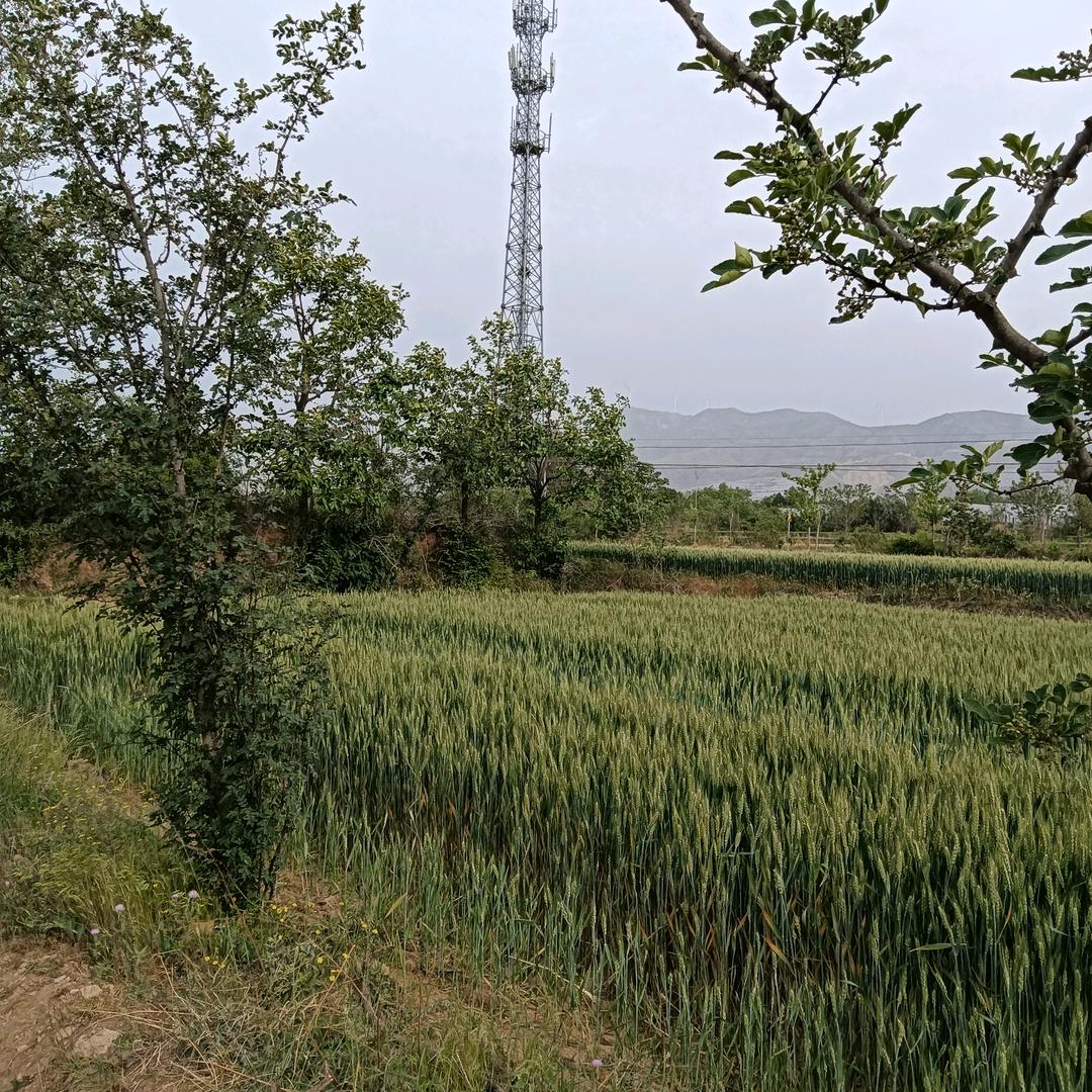 李永康