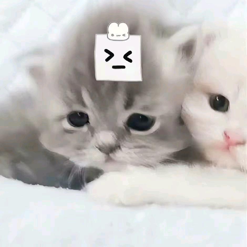 订整🐑²⁹