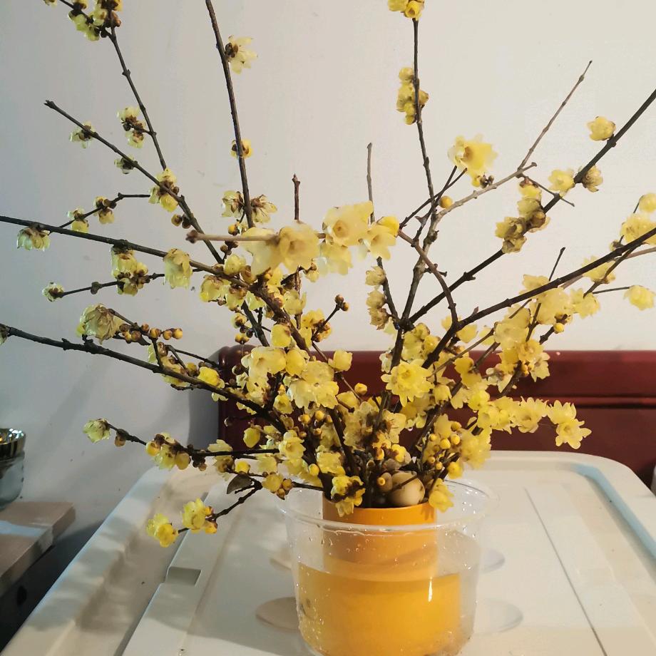 （苏）