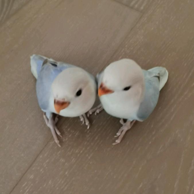 没有名字的号码